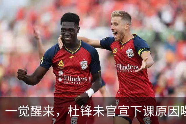 一觉醒来，杜锋未官宣下课原因曝光！徐杰确定留队，陈家政好消息