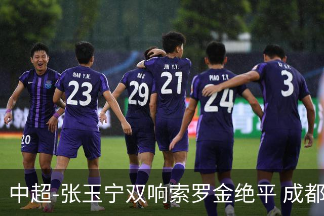 中超-张玉宁双响索罗金绝平 成都连扳两球2-2国安4连平